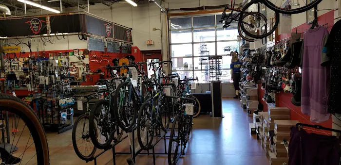 Behind Bars Bicycle Shop Picture 5