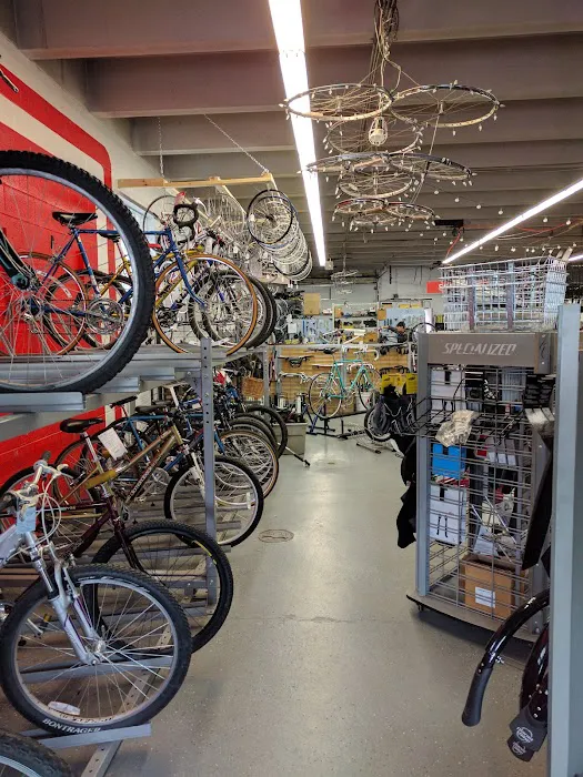 Full Cycle Picture 7