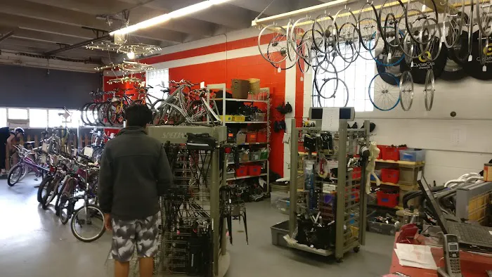 Full Cycle Picture 8