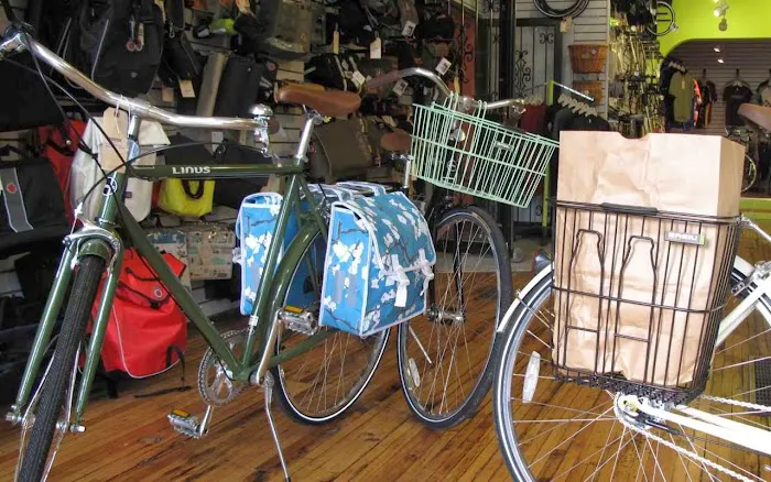 Perennial Cycle Picture 7