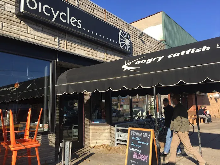 Angry Catfish Bicycle Picture 8