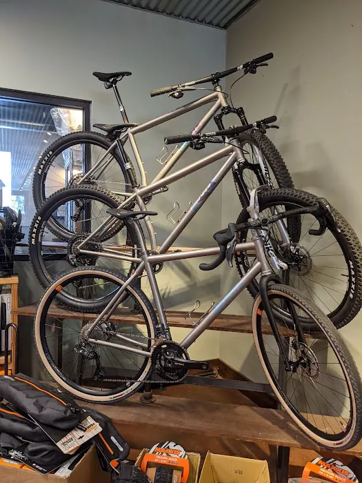 Angry Catfish Bicycle Picture 9