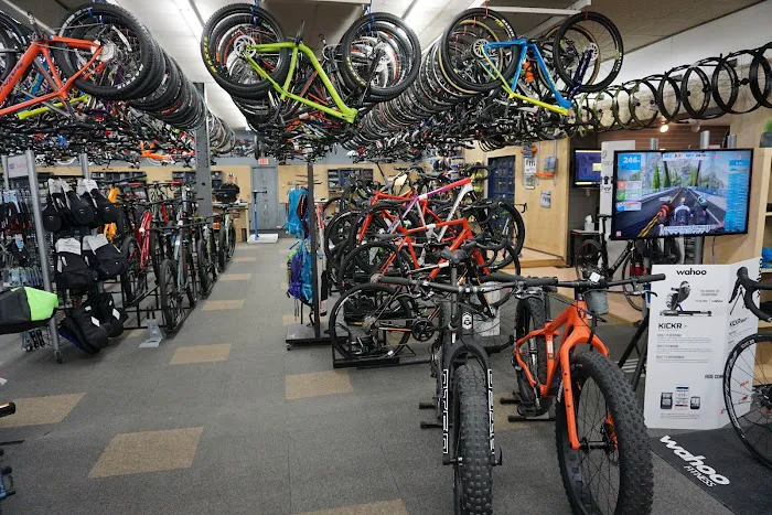 Now Bikes & Fitness Picture 4