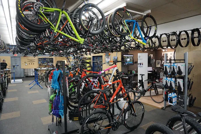Now Bikes & Fitness Picture 7