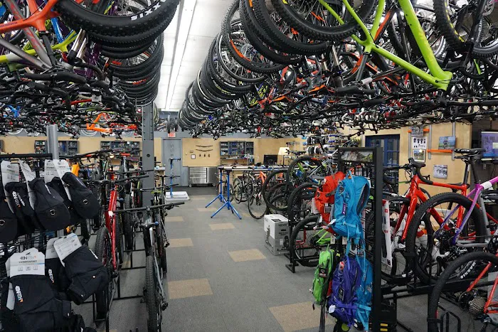 Now Bikes & Fitness Picture 6