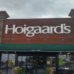 Hoigaard's