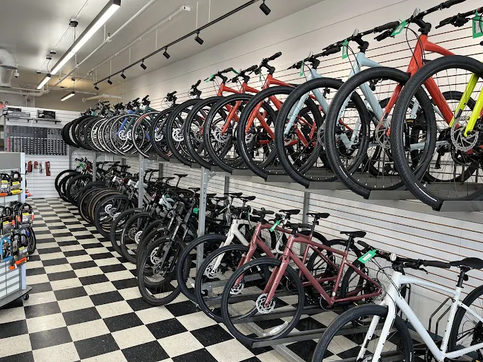 Bicycle Chain Picture 3