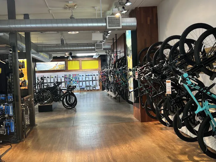 Freewheel Bike Saint Paul Picture 6