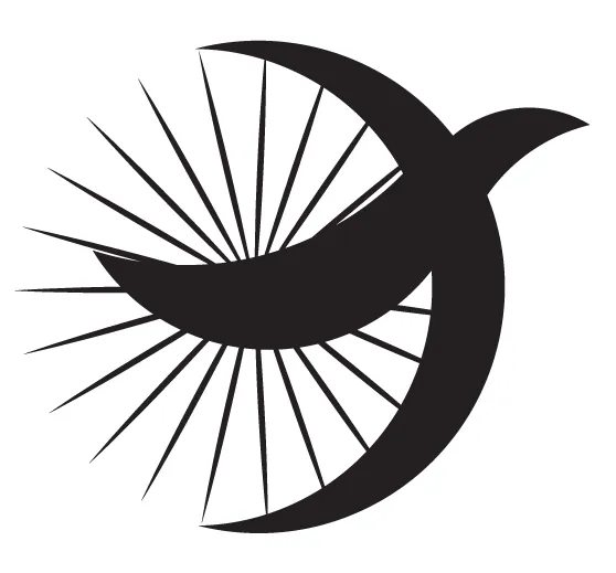 Berd Spokes Picture 2