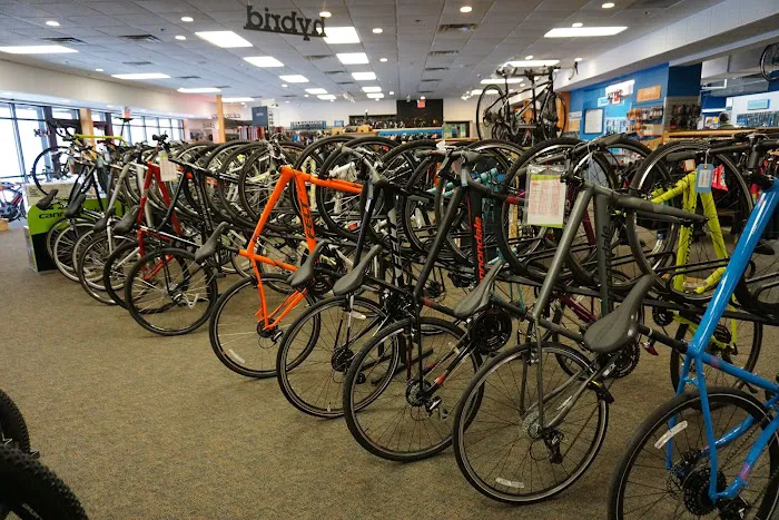 Now Bikes Picture 3