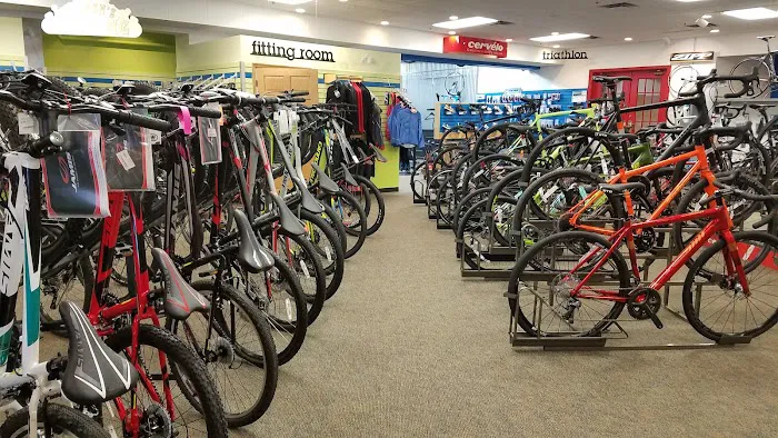 Now Bikes Picture 7