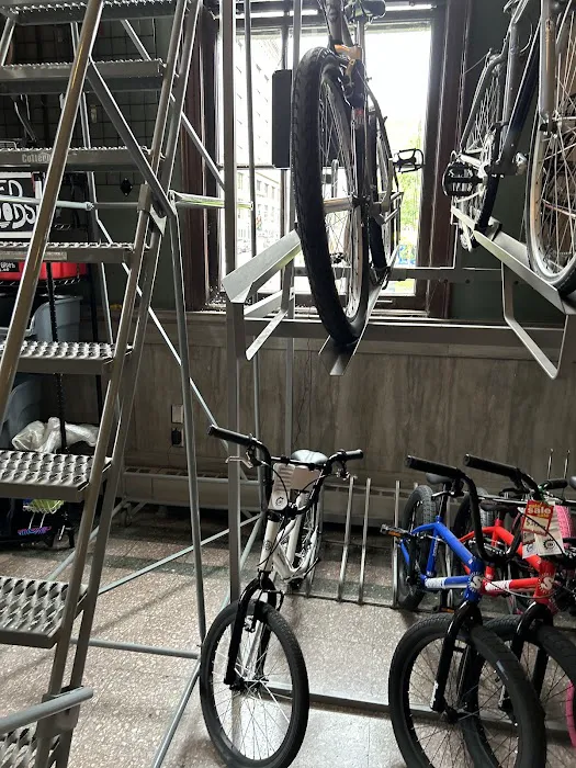Lowertown Bike Shop Picture 6