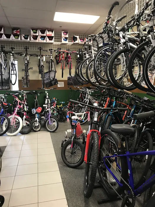 CARS Bike Shop Picture 1