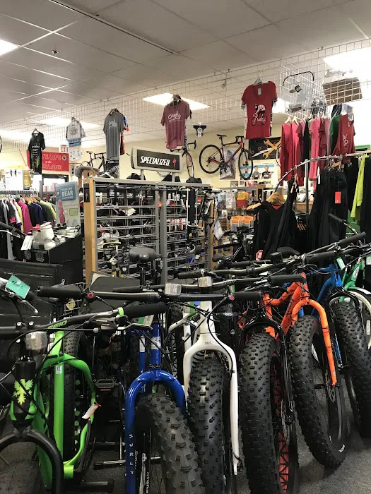 CARS Bike Shop Picture 4