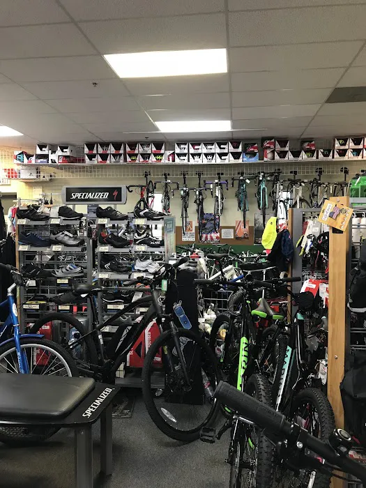 CARS Bike Shop Picture 9