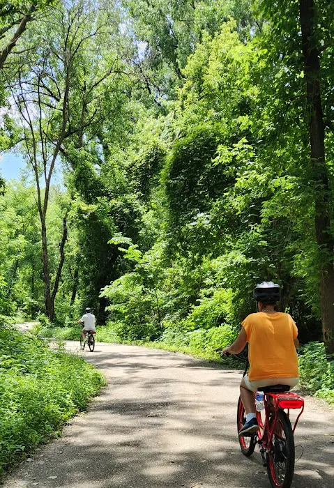 Pedego Electric Bikes Twin Cities - Mendota Heights Picture 4