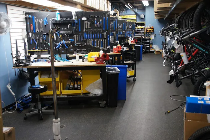 Freewheel Bike Eden Prairie Picture 4