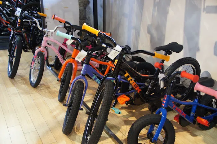 Freewheel Bike Eden Prairie Picture 5