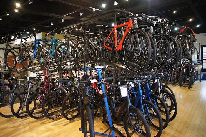 Freewheel Bike Eden Prairie Picture 2