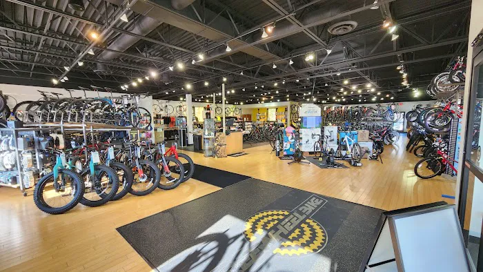 Freewheel Bike Eden Prairie Picture 1