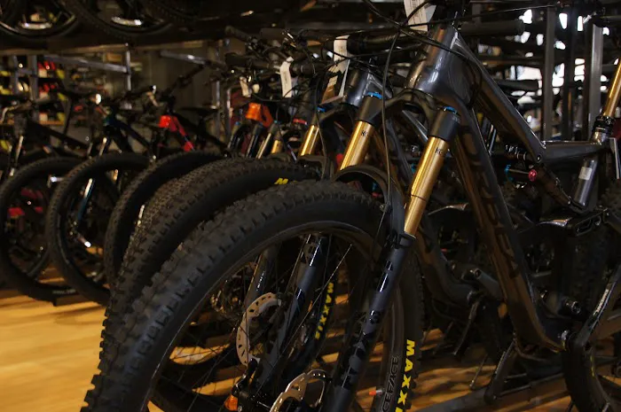 Freewheel Bike Eden Prairie Picture 7