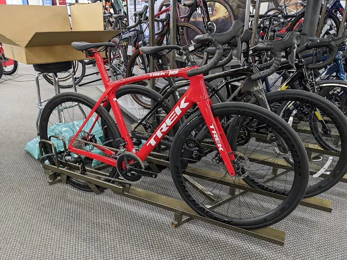 Freewheel Bike Bloomington Picture 3