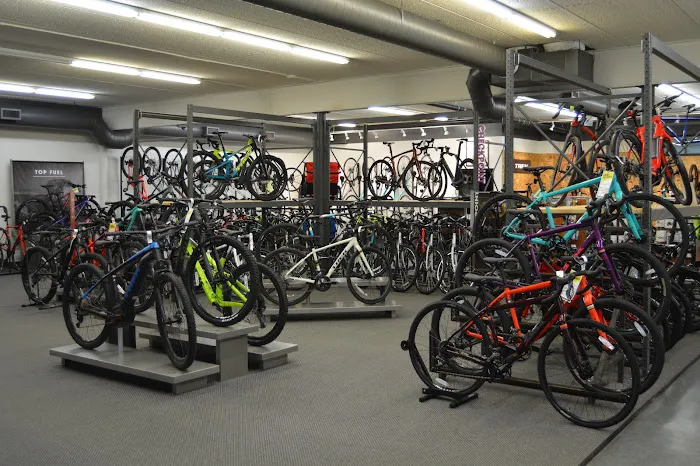 Freewheel Bike Bloomington Picture 7