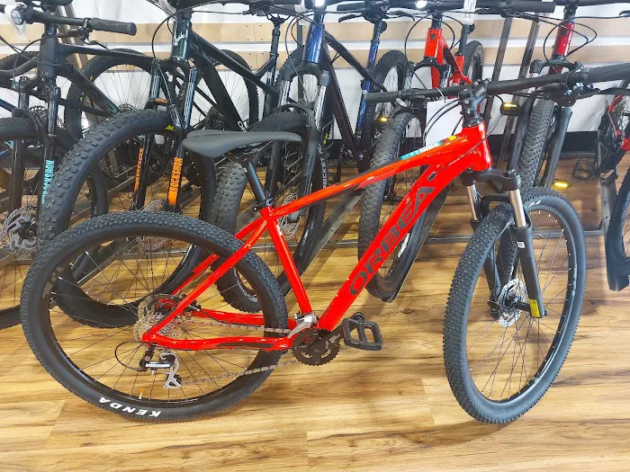 Freewheel Bike Eagan Picture 2