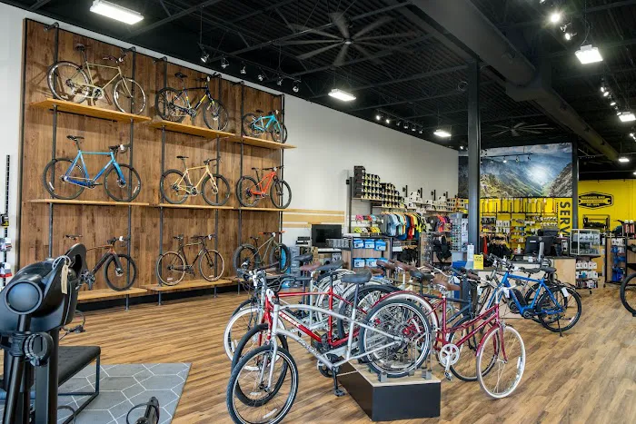 Freewheel Bike Eagan Picture 5