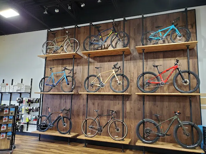 Freewheel Bike Eagan Picture 8