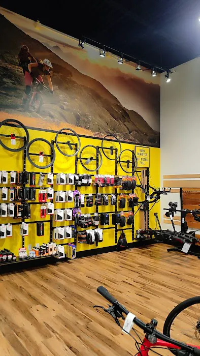 Freewheel Bike Eagan Picture 10