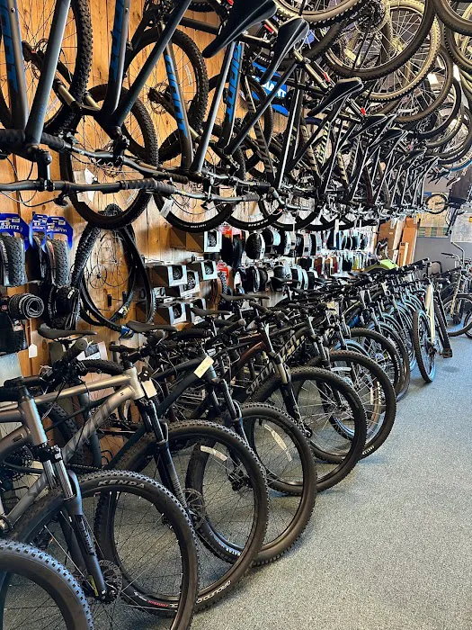Bike King Picture 2