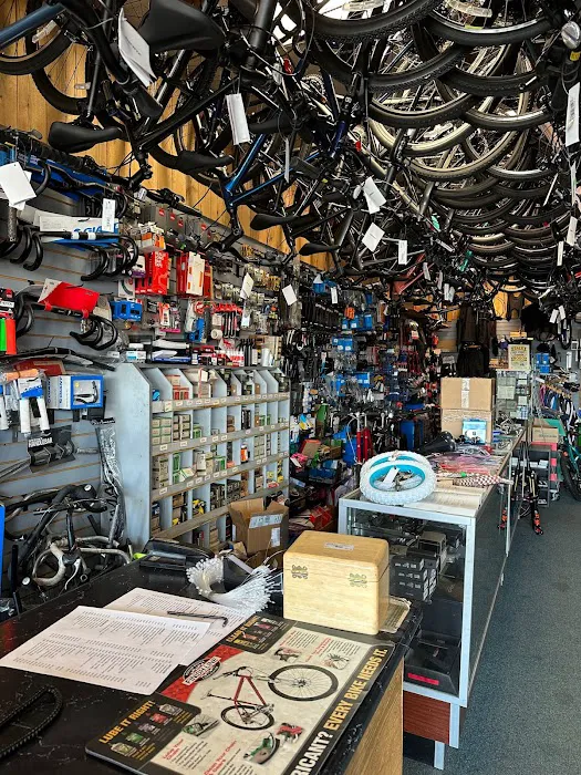Bike King Picture 6