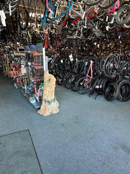 Bike King Picture 7