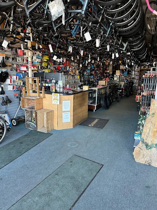 Bike King Picture 8