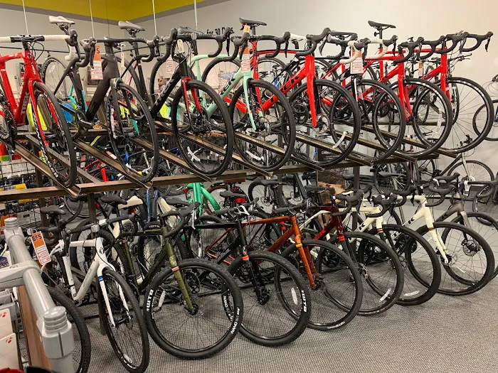Freewheel Bike Woodbury Picture 1