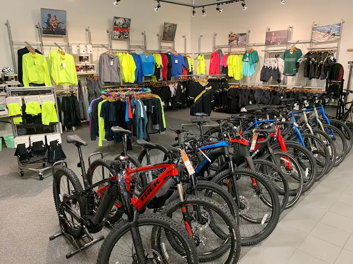 Freewheel Bike Woodbury Picture 4