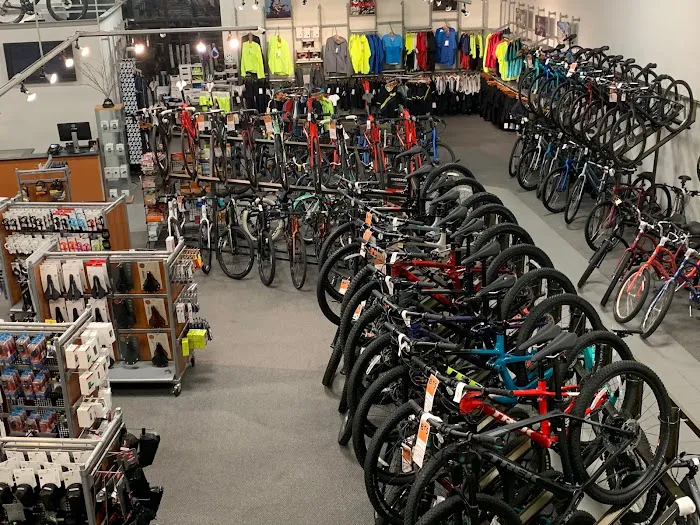 Freewheel Bike Woodbury Picture 6