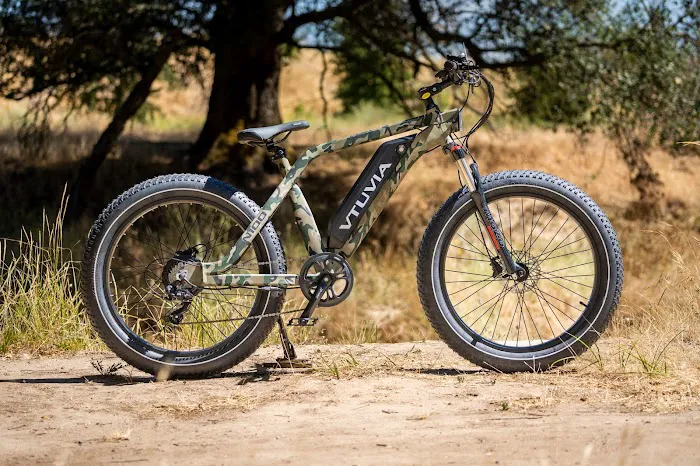 E-Bike Explorations Picture 3