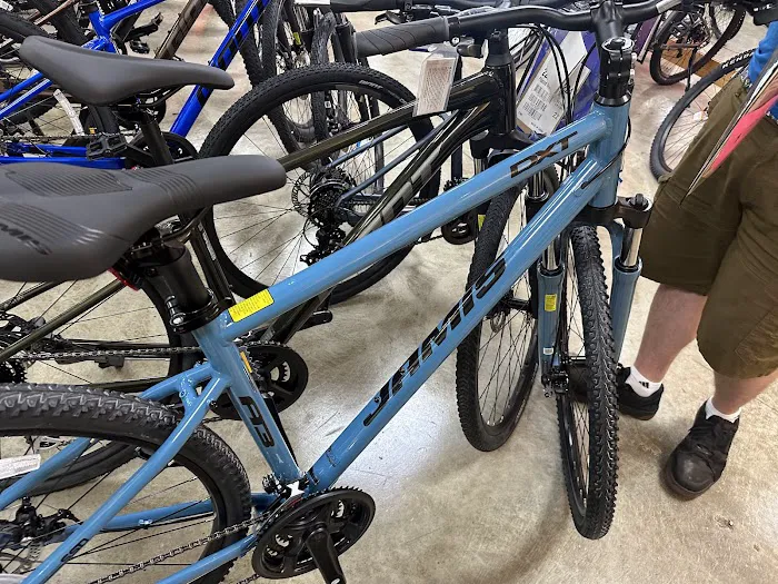 Pioneer Cycle Picture 8