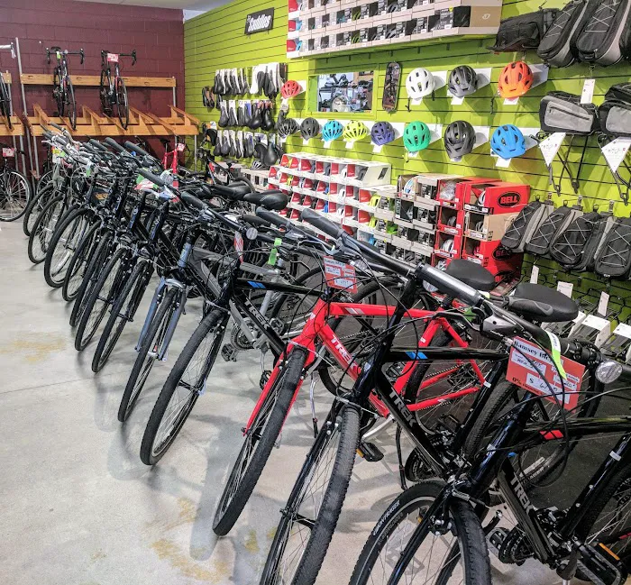 Ramsey Bicycle Picture 3