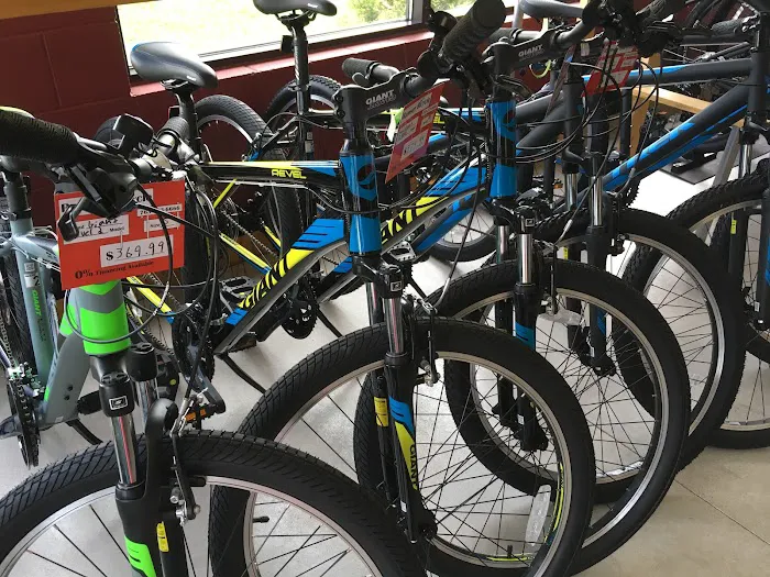 Ramsey Bicycle Picture 1