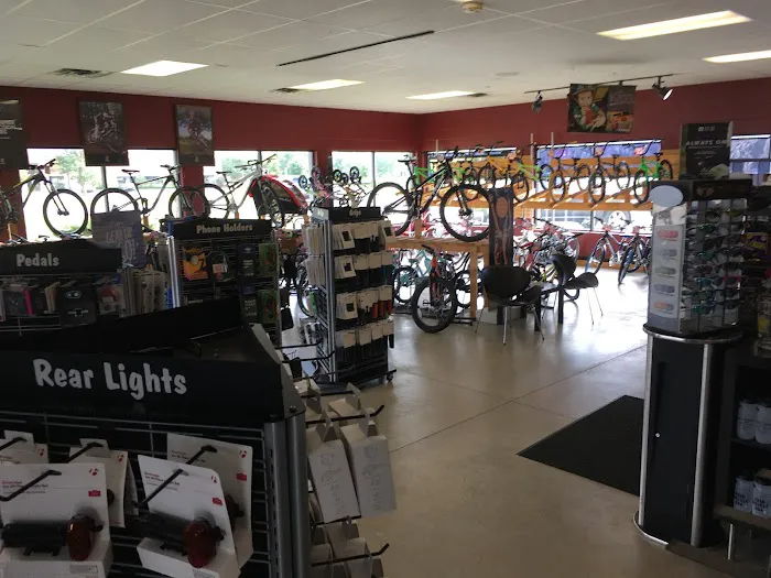 Ramsey Bicycle Picture 5