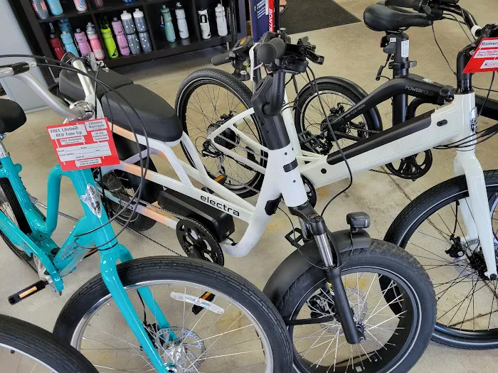 Ramsey Bicycle Picture 9