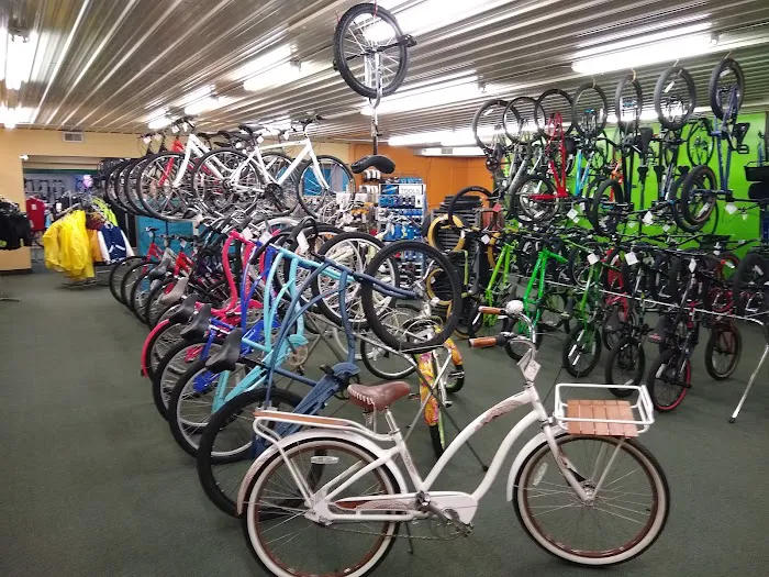 Forest Lake Cycle & Skate BIKE SHOP Picture 10