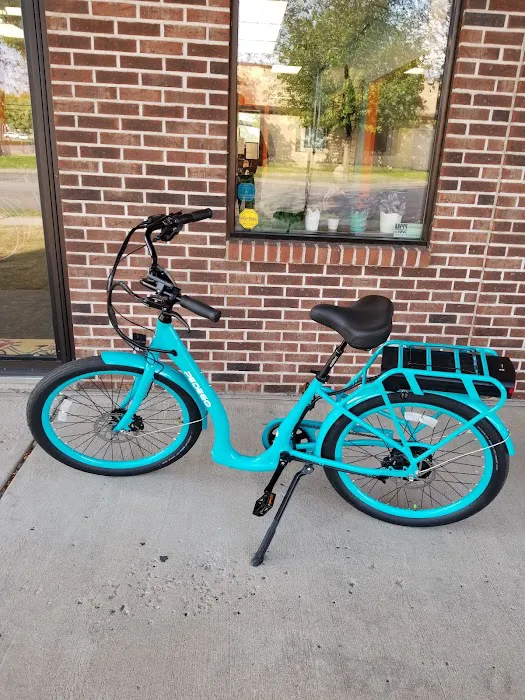 Pedego Electric Bikes Monticello Picture 4