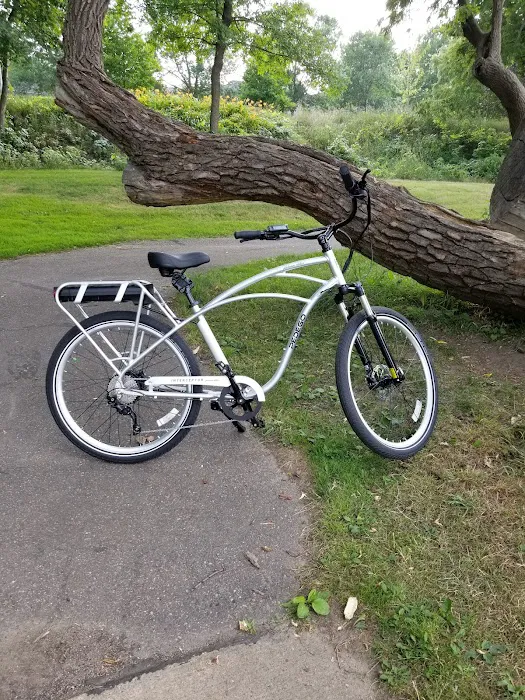 Pedego Electric Bikes Monticello Picture 10