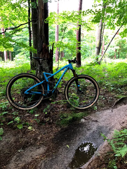 Mill Town Cycles Picture 9
