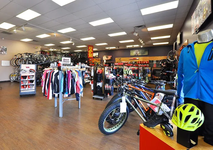 Bicycle Sports Picture 3