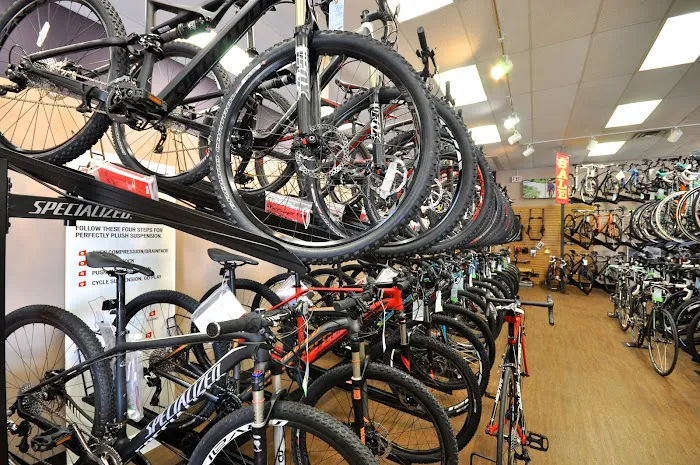 Bicycle Sports Picture 4